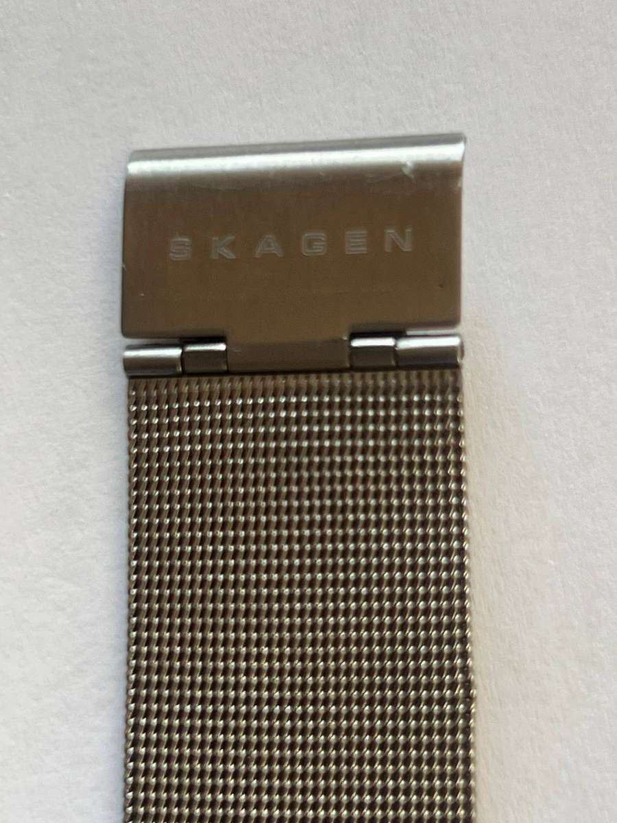 Skagen Mens Watch
