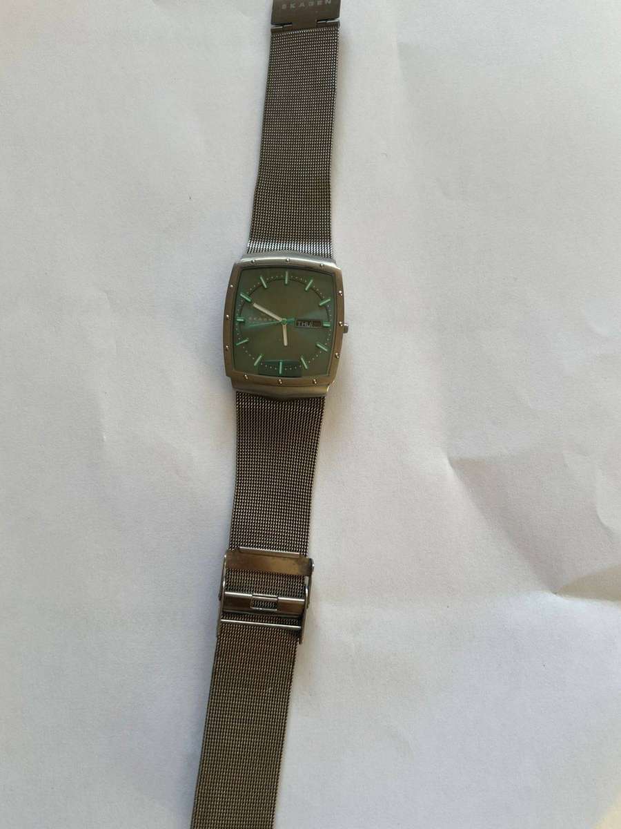 Skagen Mens Watch
