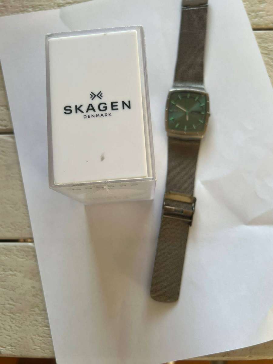 Skagen Mens Watch