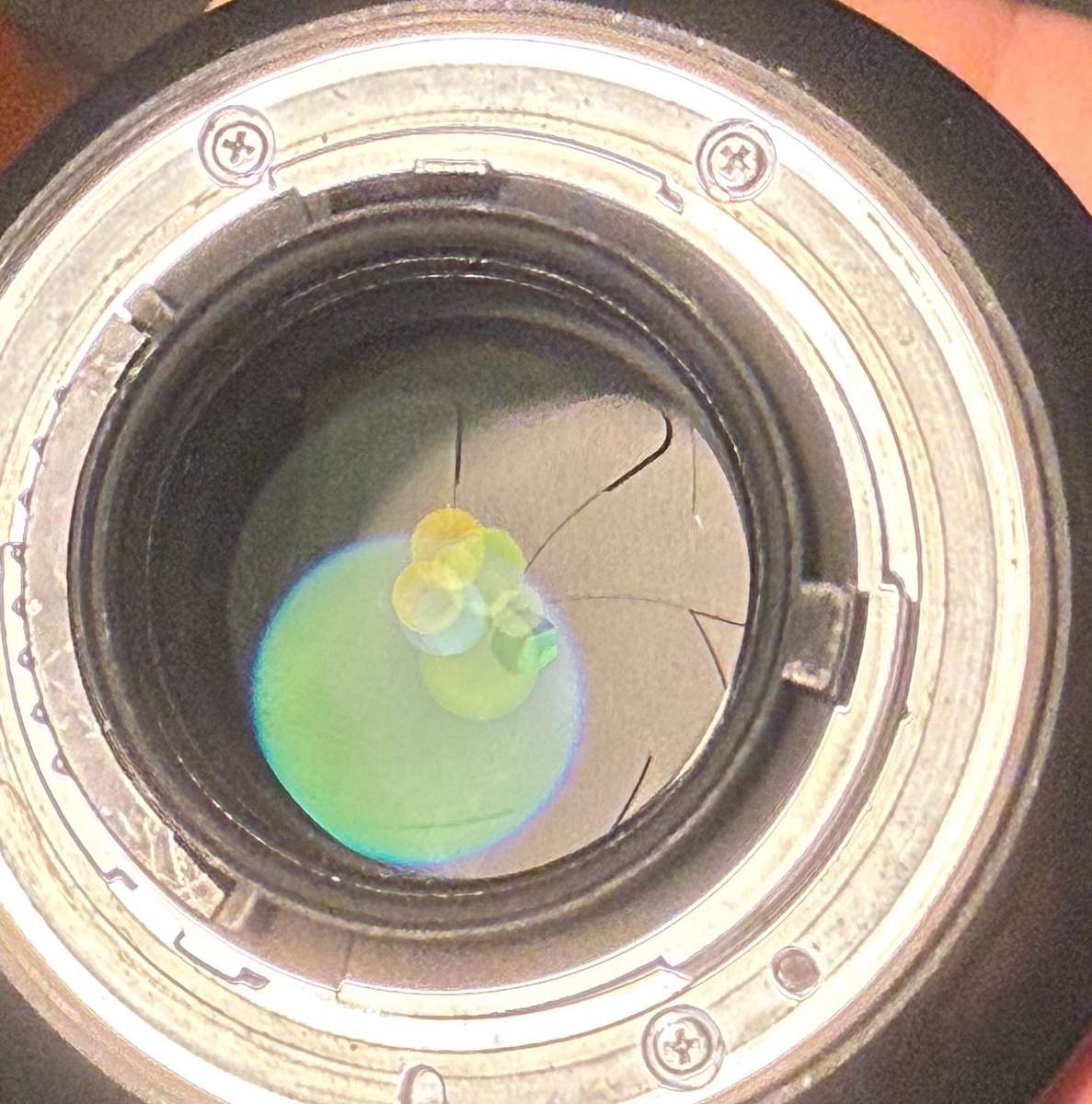 Nikon 85mm F1.8G Lens (F Mount)