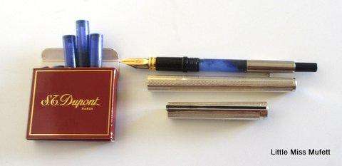 A Du Pont fountain pen with original booklets and guarantee card with  a set of cartridges