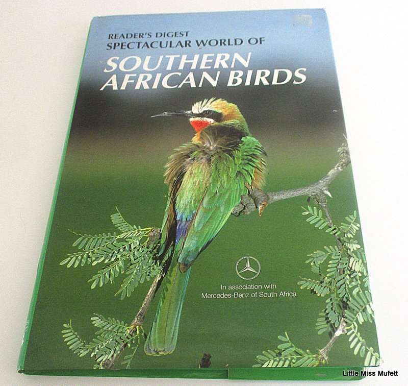 SPECTACULAR WORLD OF SOUTH AFRICAN BIRDS