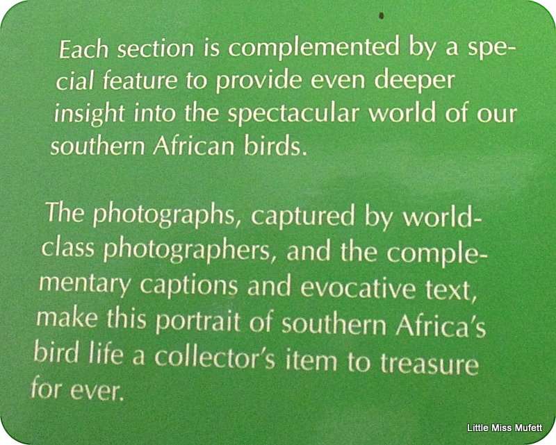 SPECTACULAR WORLD OF SOUTH AFRICAN BIRDS