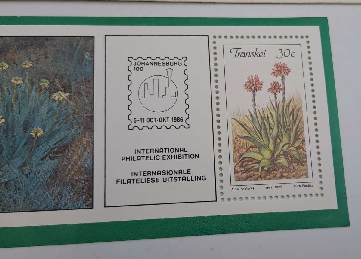 1986-05-01 South Africa JHB 100 -Transkei FDC PLUS Stamp -Mount Ayliff -Aloes(6 sets Available)