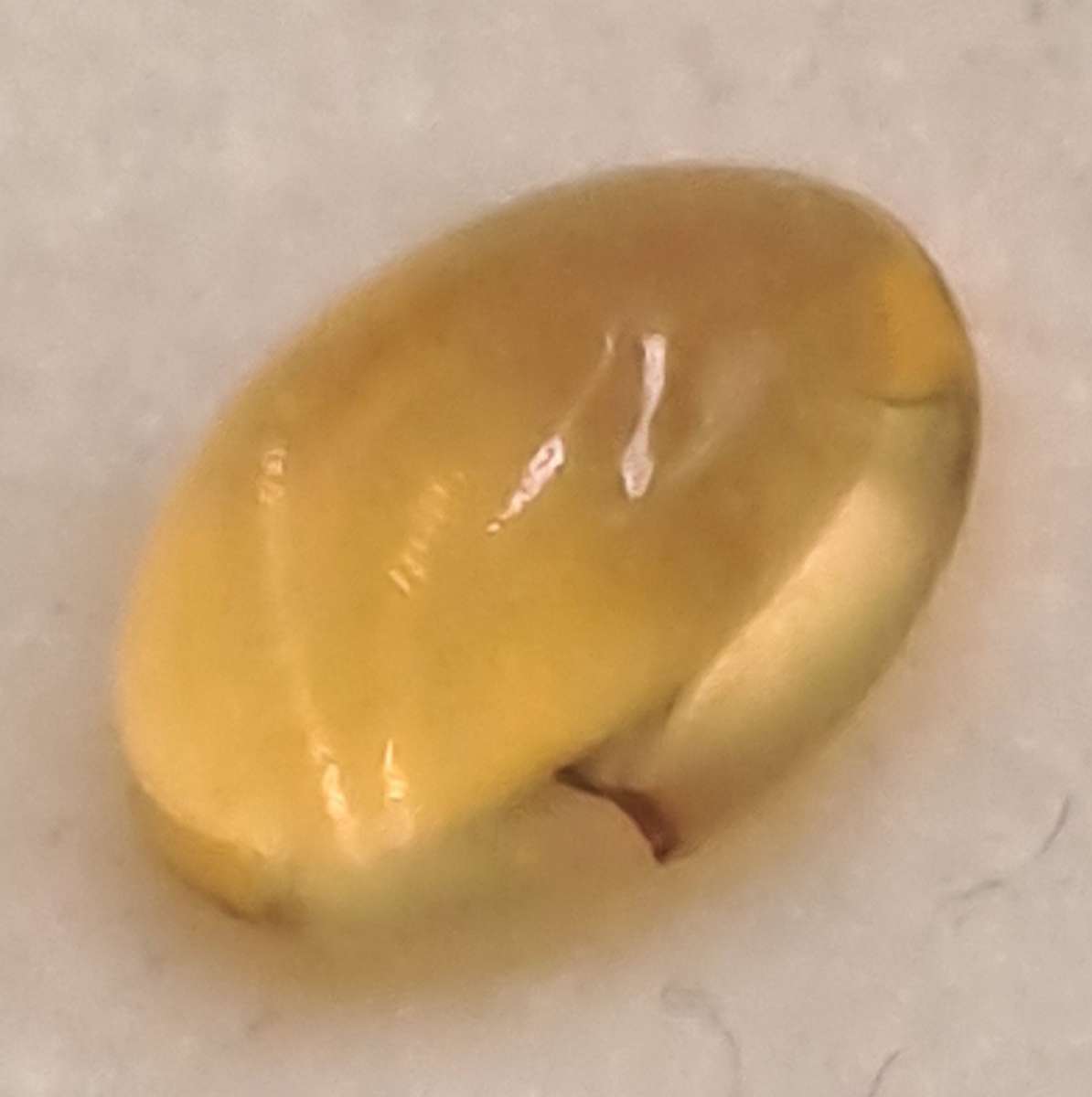 2 Opal Gemstones 7x5mm -0,15ct  and  8x6mm