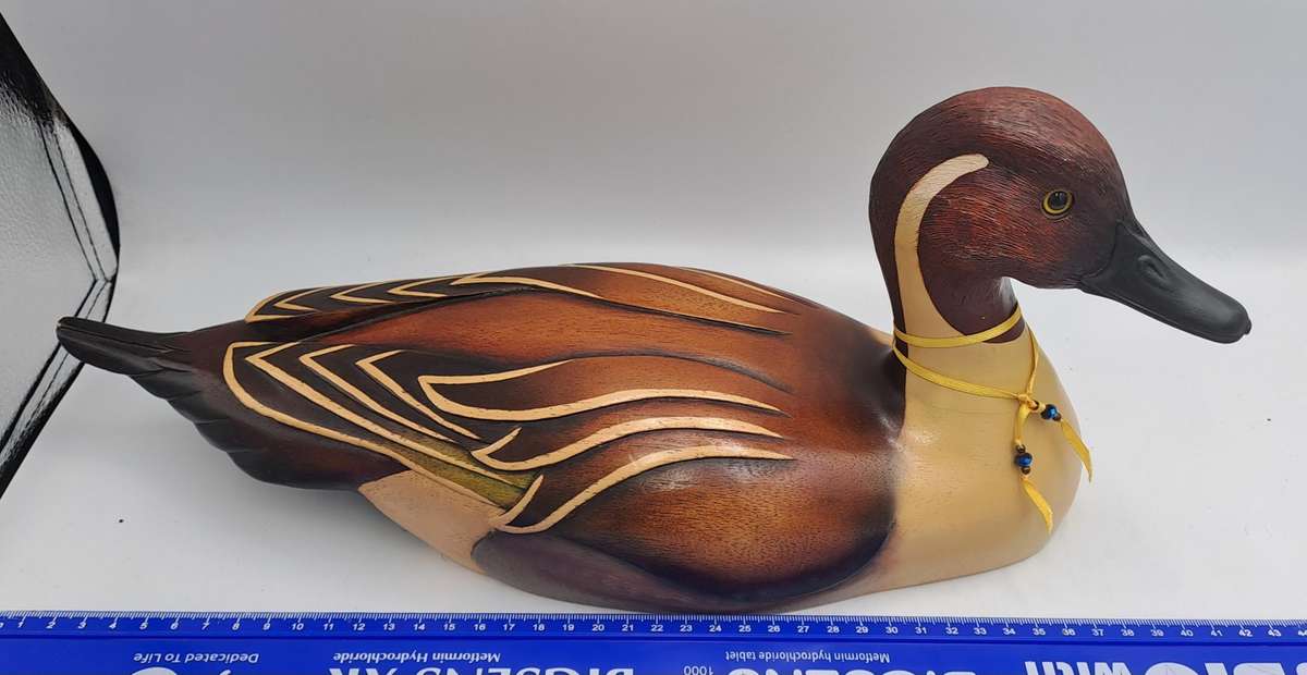 Knysna Feathers Gallery Limited Edition No 299 of 2000 PINTAIL Hand Crafted Hand Crafted and Painted