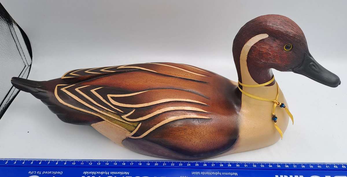 Knysna Feathers Gallery Limited Edition No 299 of 2000 PINTAIL Hand Crafted Hand Crafted and Painted