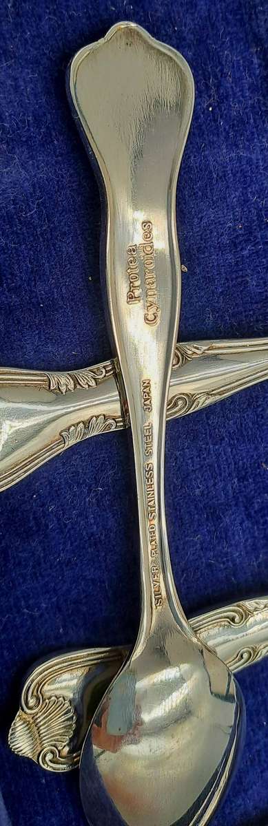 South African Collectors Treasury Wild Flower Floral enamel and Silver plate spoonset Boxed