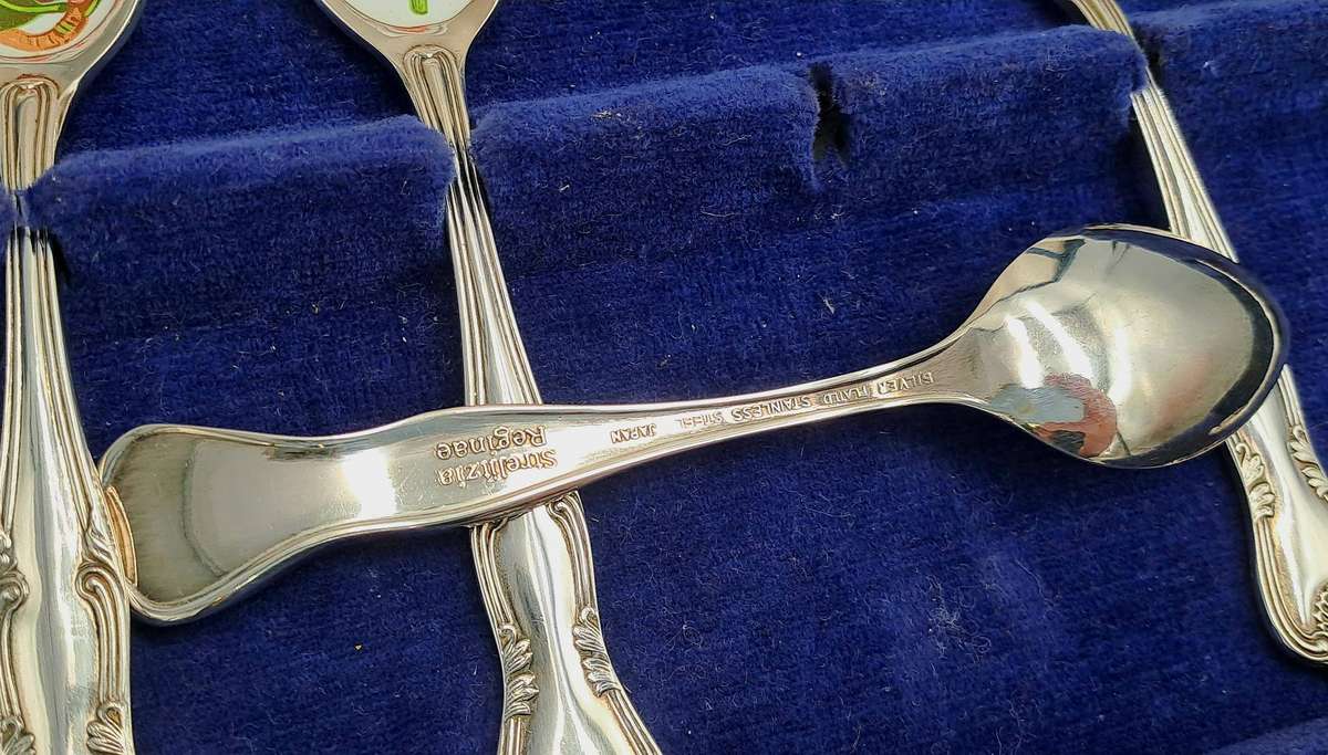 South African Collectors Treasury Wild Flower Floral enamel and Silver plate spoonset Boxed