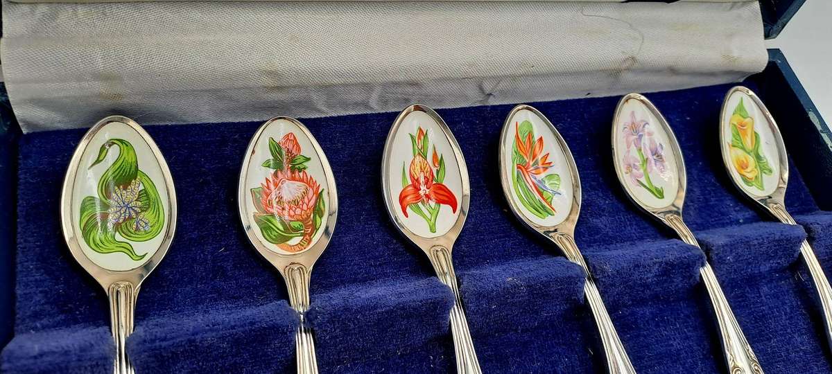South African Collectors Treasury Wild Flower Floral enamel and Silver plate spoonset Boxed