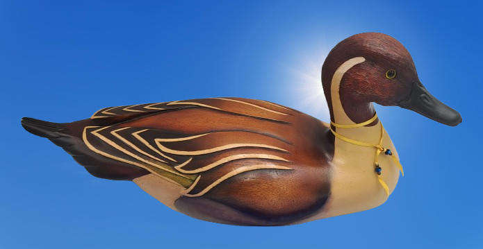Knysna Feathers Gallery Limited Edition No 299 of 2000 PINTAIL Hand Crafted Hand Crafted and Painted