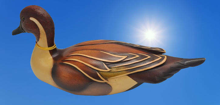 Knysna Feathers Gallery Limited Edition No 299 of 2000 PINTAIL Hand Crafted Hand Crafted and Painted