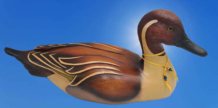 Knysna Feathers Gallery Limited Edition No 299 of 2000 PINTAIL Hand Crafted Hand Crafted and Painted