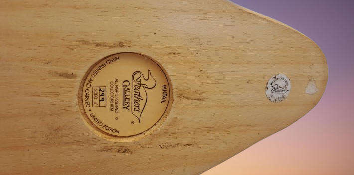 Knysna Feathers Gallery Limited Edition No 299 of 2000 PINTAIL Hand Crafted Hand Crafted and Painted