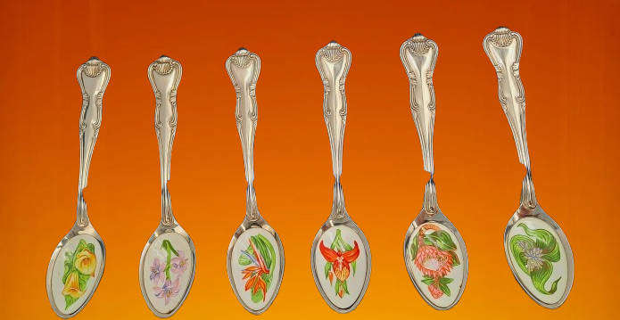 South African Collectors Treasury Wild Flower Floral enamel and Silver plate spoonset Boxed