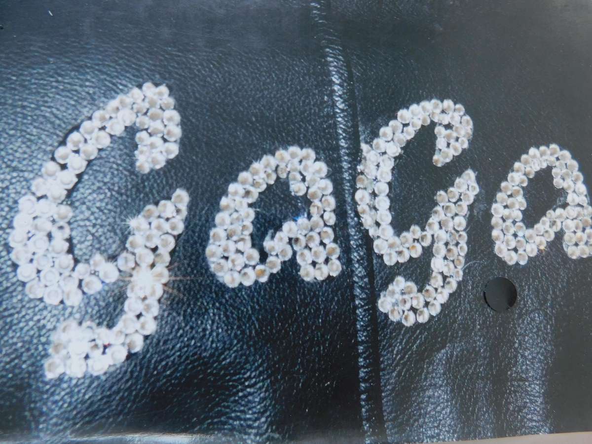 LADY GAGA - PHOTOGRAPHIC HISTORY [BOOK]