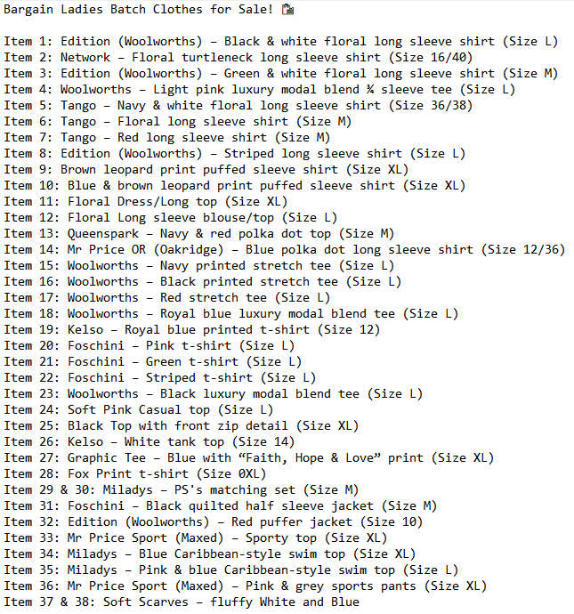 Ladies Clothing Bundle (38 items)