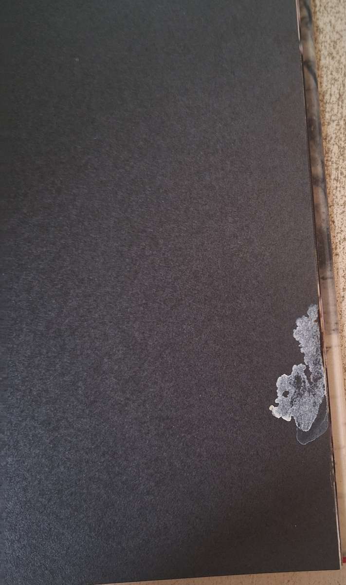 Frankenstein by Robert Jameson