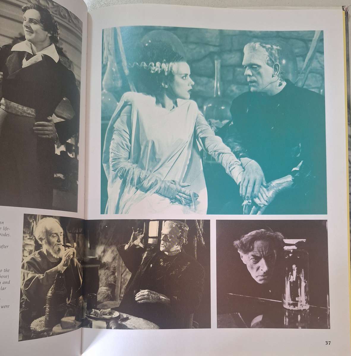 Frankenstein by Robert Jameson