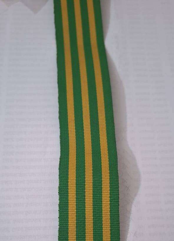 Danie Theron Full Size Medal Ribbon