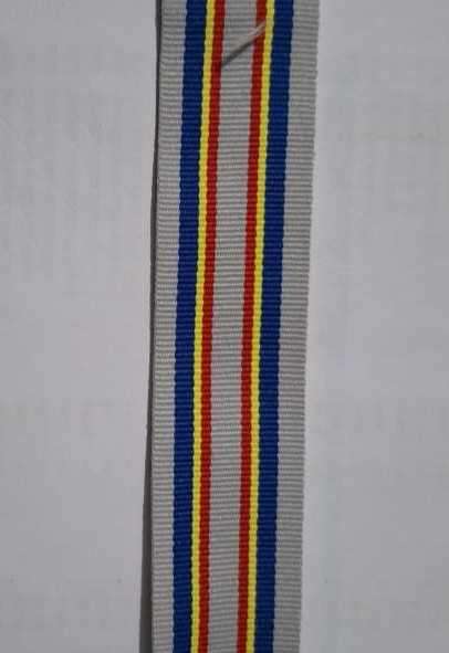 SAPS 20 Year Loyal Service Medal Full Size Ribbon