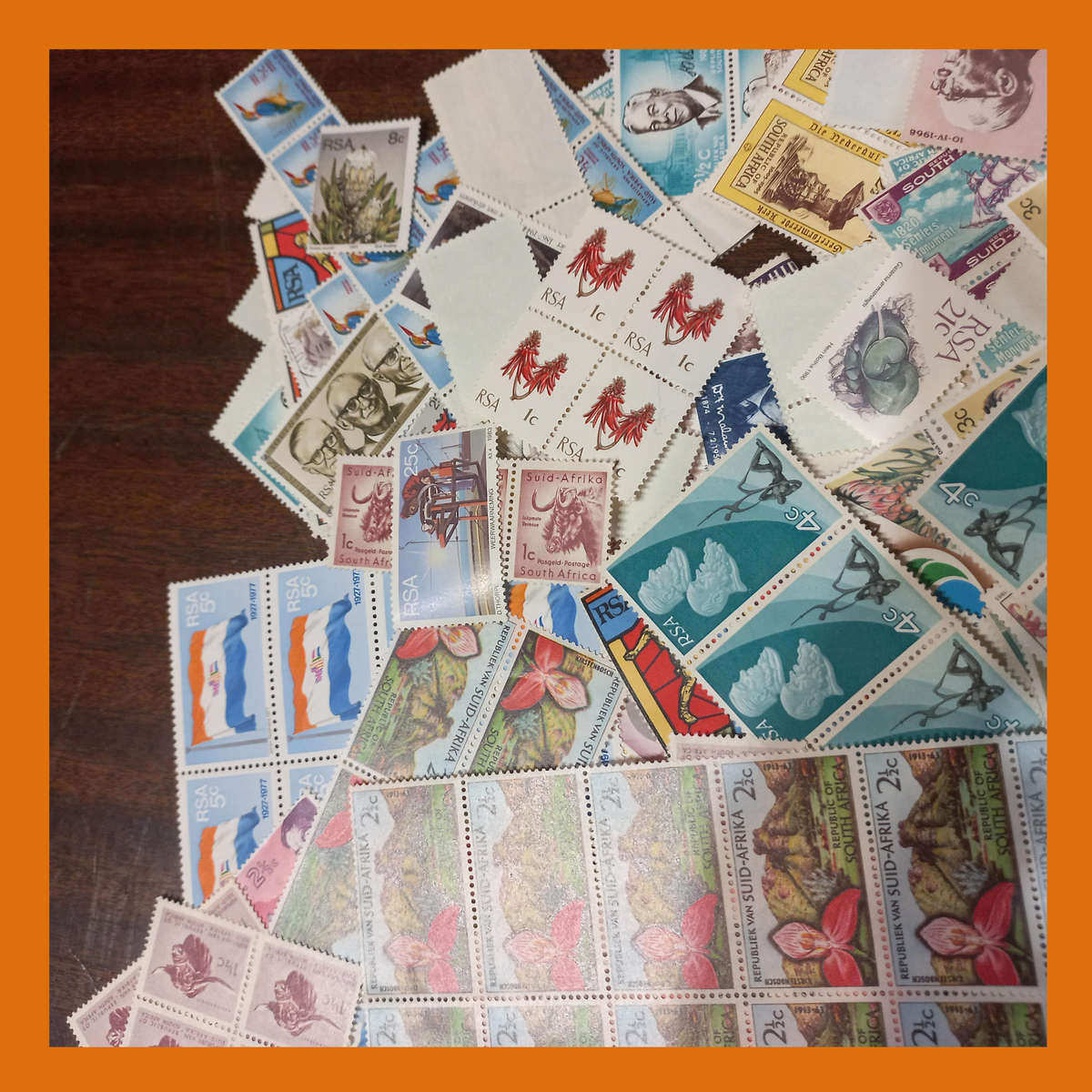 South Africa Republic and Union Mint Stamp Accumulation  Blocks and Pairs (250g)