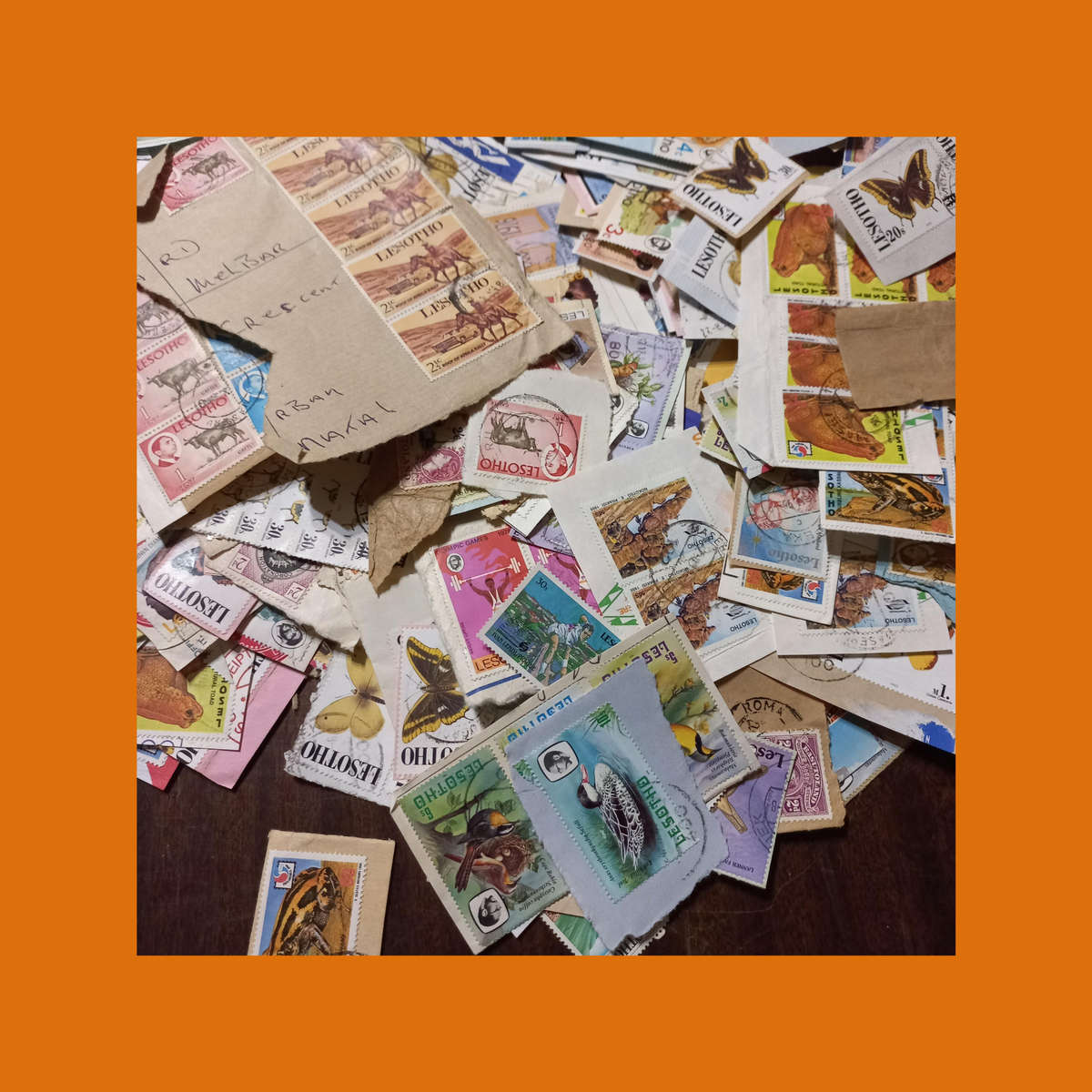 Lesotho & Basutoland  Thematic Wildlife Selection on Piece (Butterflies Prominent)