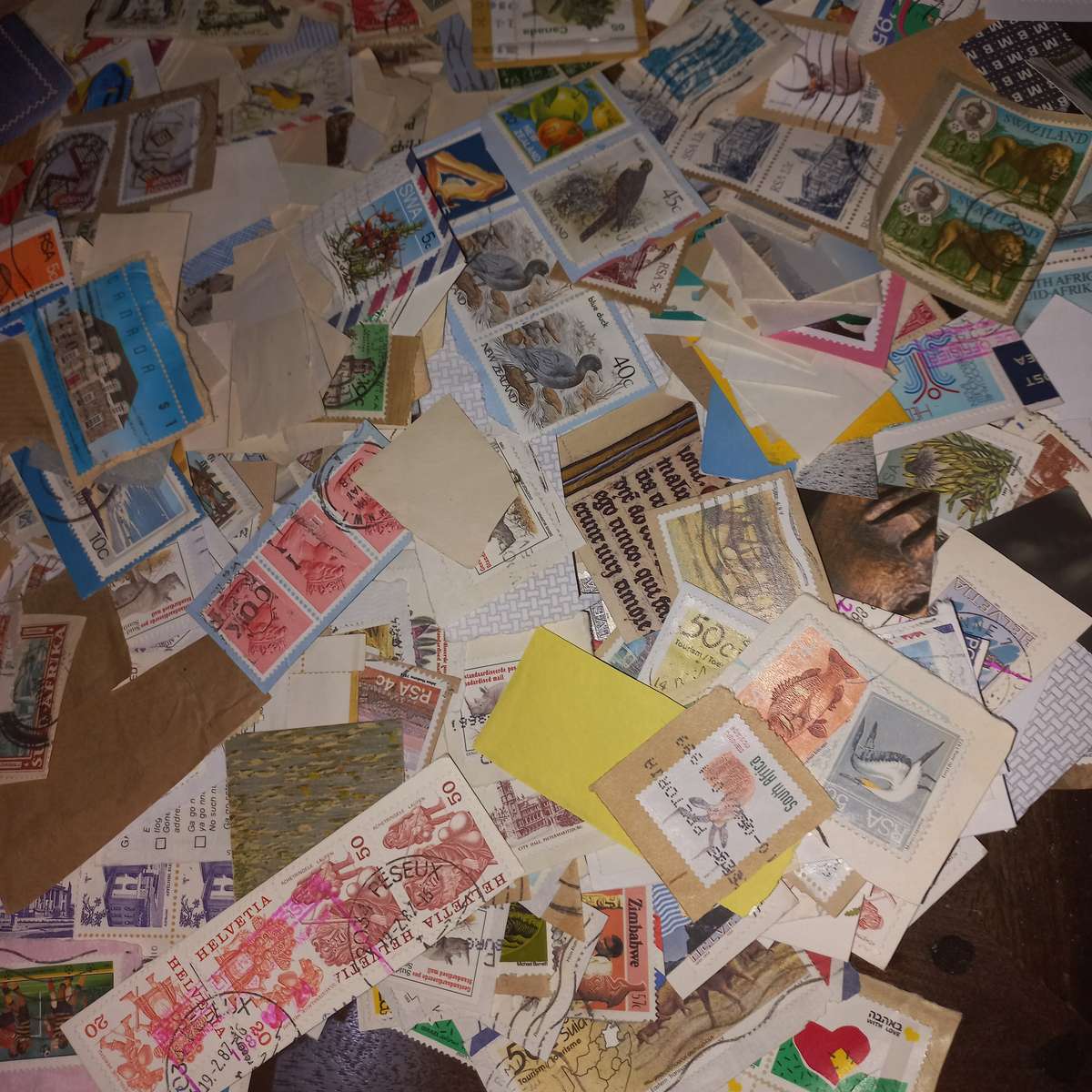 World Mix on Paper - Kiloware - R1 start