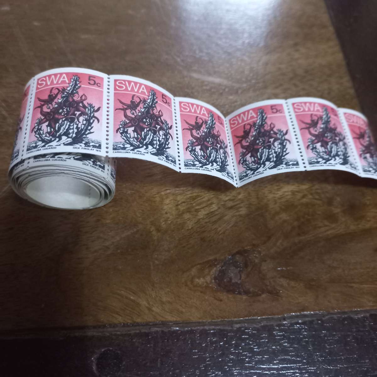 South West Africa SWA - 1973 Succulents - Coils - Still in Coil Rolls - R1 Start