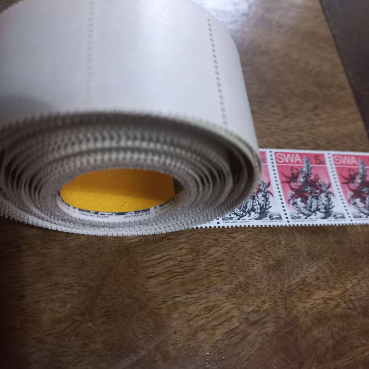 South West Africa SWA - 1973 Succulents - Coils - Still in Coil Rolls - R1 Start