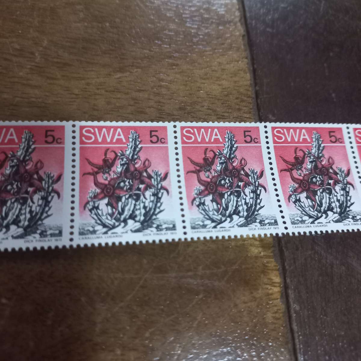 South West Africa SWA - 1973 Succulents - Coils - Still in Coil Rolls - R1 Start