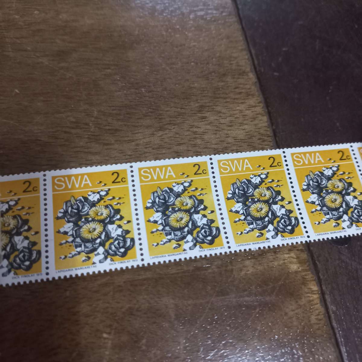 South West Africa SWA - 1973 Succulents - Coils - Still in Coil Rolls - R1 Start