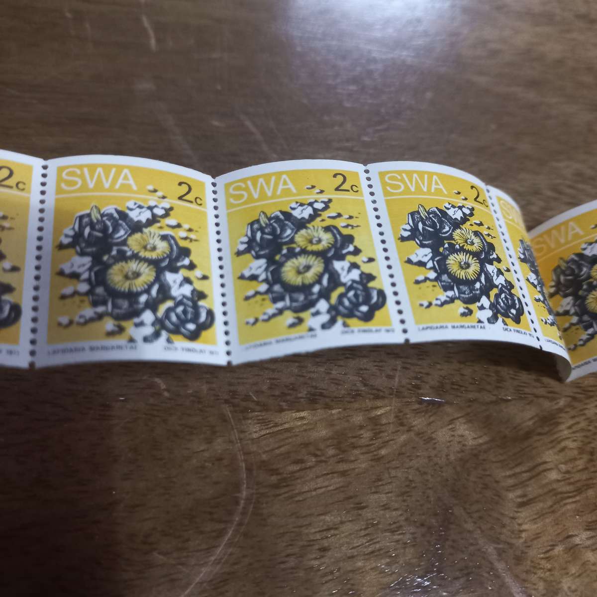 South West Africa SWA - 1973 Succulents - Coils - Still in Coil Rolls - R1 Start