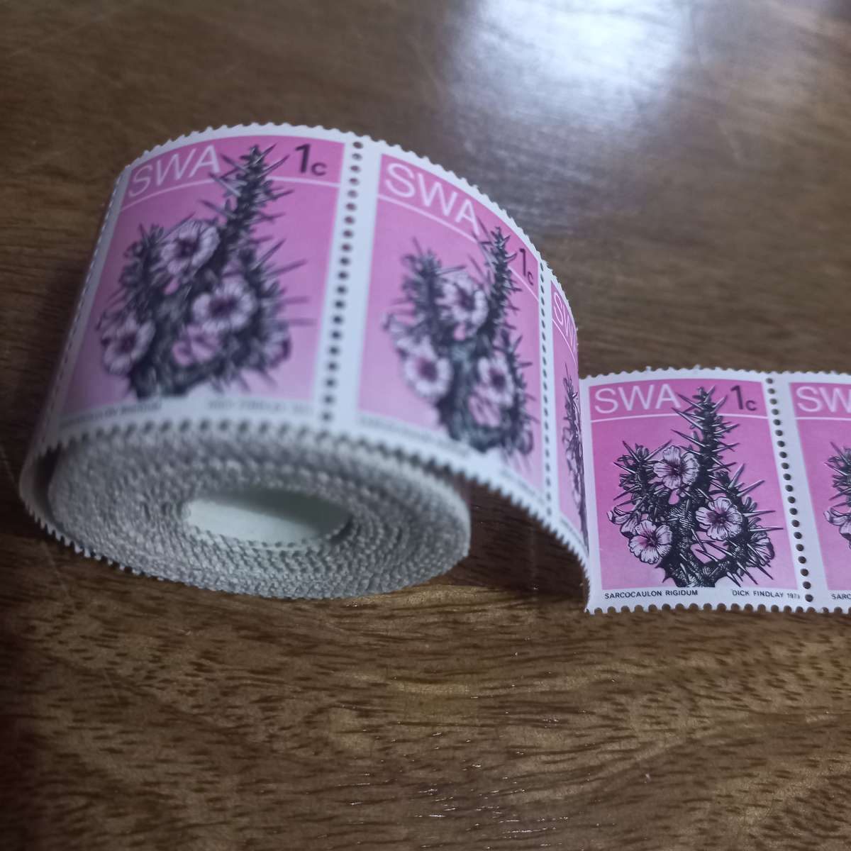 South West Africa SWA - 1973 Succulents - Coils - Still in Coil Rolls - R1 Start