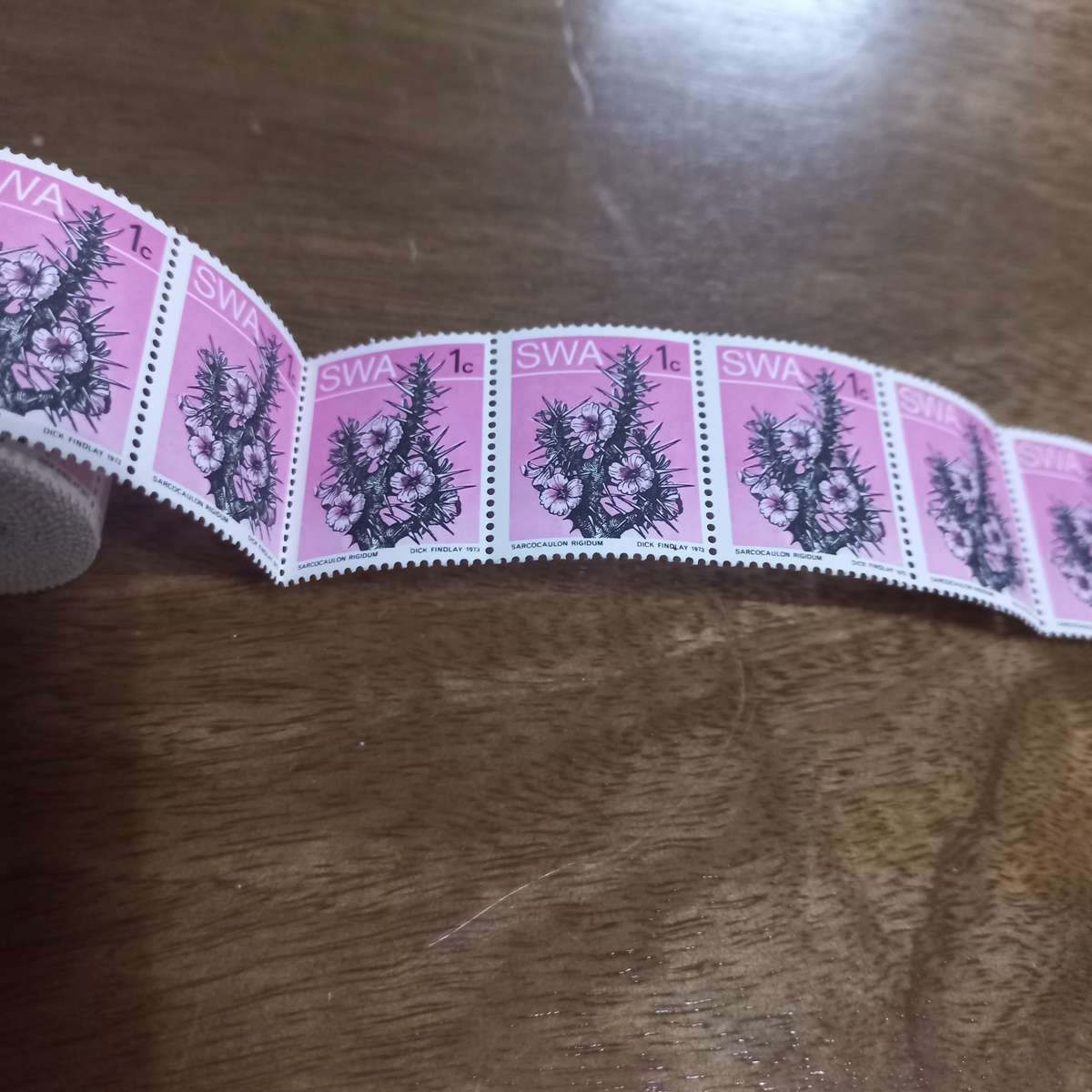 South West Africa SWA - 1973 Succulents - Coils - Still in Coil Rolls - R1 Start