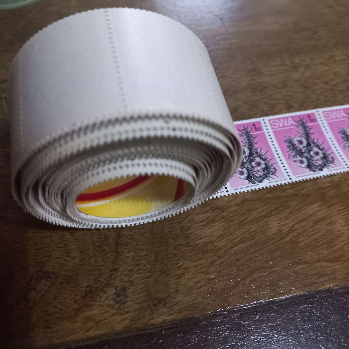 South West Africa SWA - 1973 Succulents - Coils - Still in Coil Rolls - R1 Start