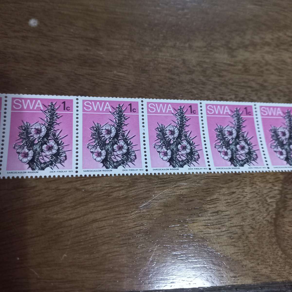 South West Africa SWA - 1973 Succulents - Coils - Still in Coil Rolls - R1 Start