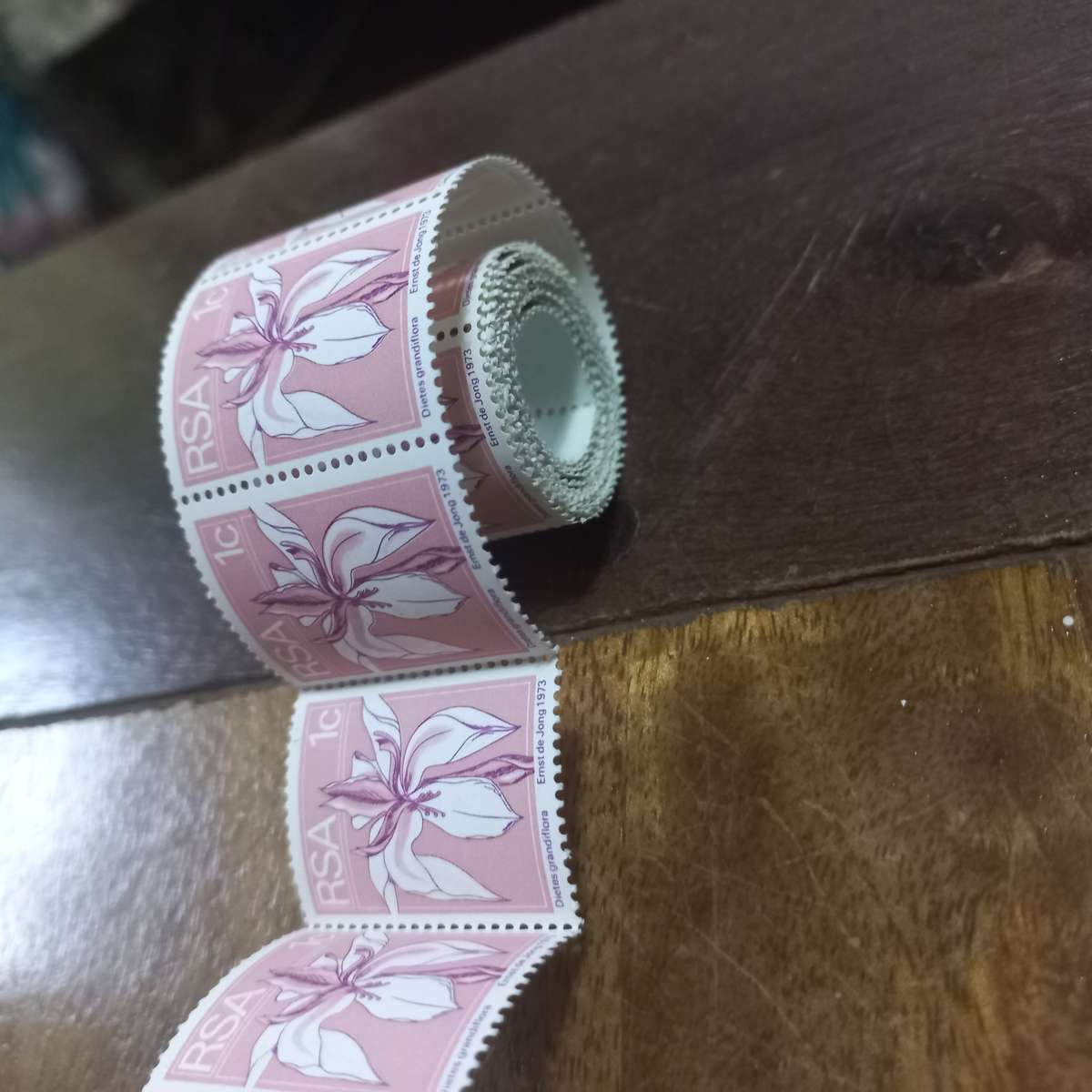 South West Africa SWA - 1973 Succulents - Coils - Still in Coil Rolls - R1 Start