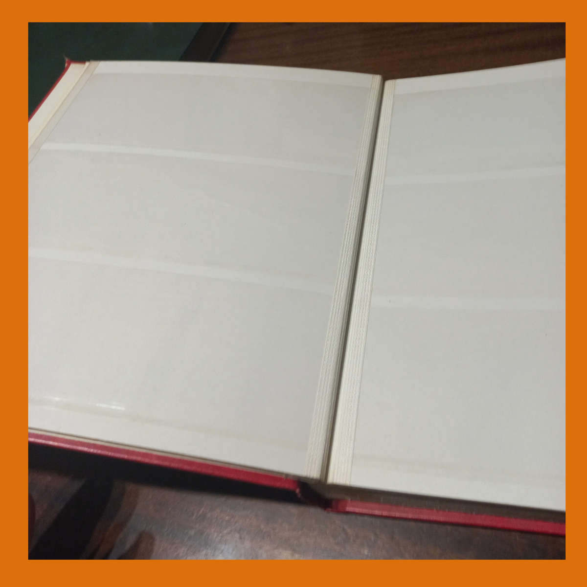 Lighthouse Control Block Stock Book  16 Pages, 3 Clear Strips per Page (Empty, Near-New)