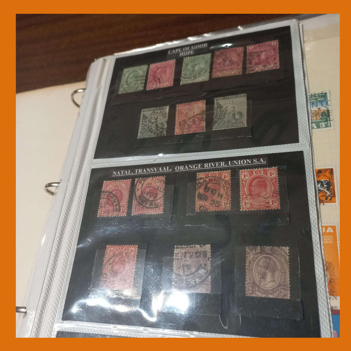 Southern Africa Collection in Lever Arch File  25 Stock Pages Including 1994 Mandela Issue