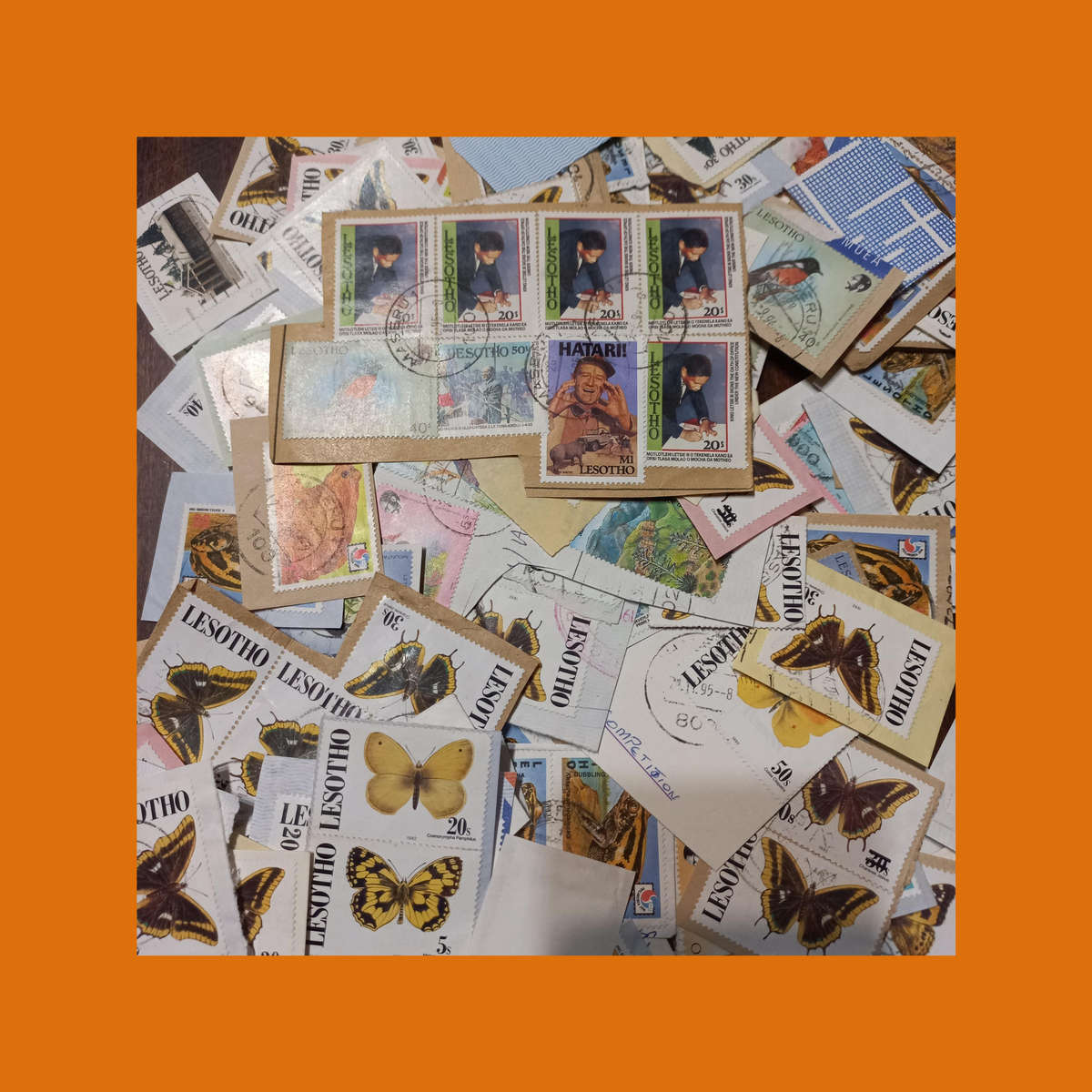 Lesotho & Basutoland  Thematic Wildlife Selection on Piece (Butterflies Prominent)