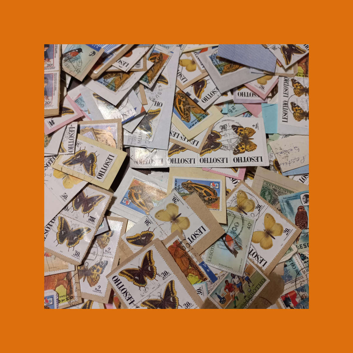 Lesotho & Basutoland  Thematic Wildlife Selection on Piece (Butterflies Prominent)