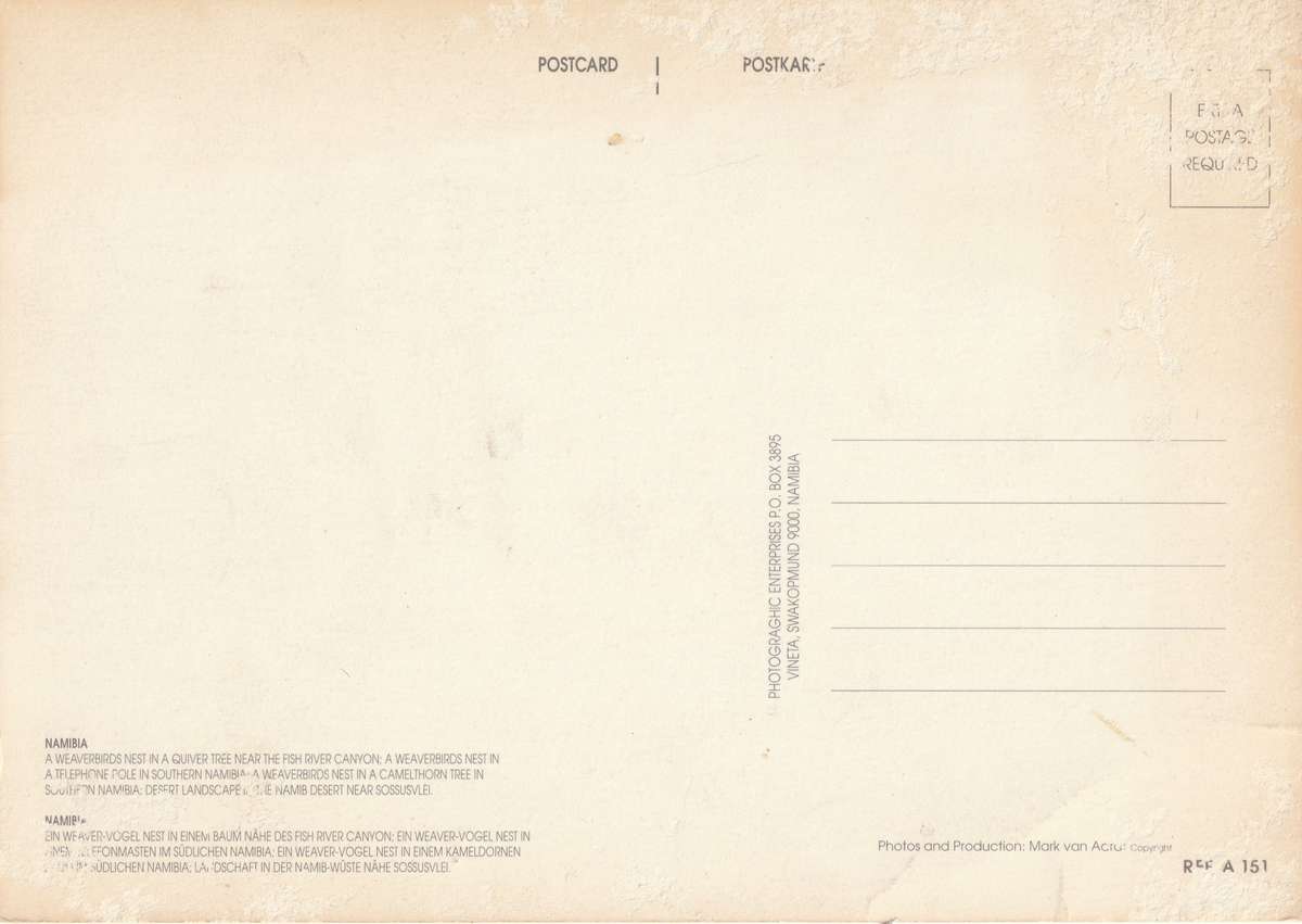 Namibia Namib Desert Weaver Birds Nests Large Post Card