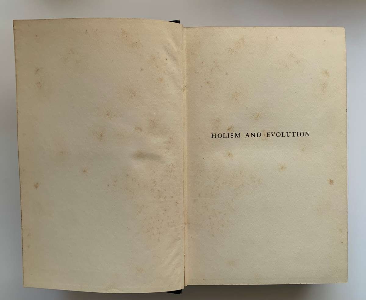 Holism and Evolution