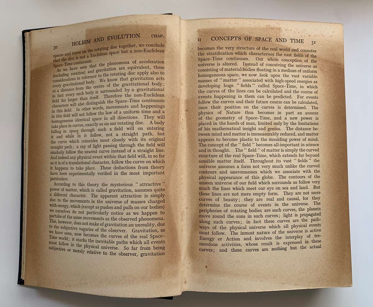 Holism and Evolution