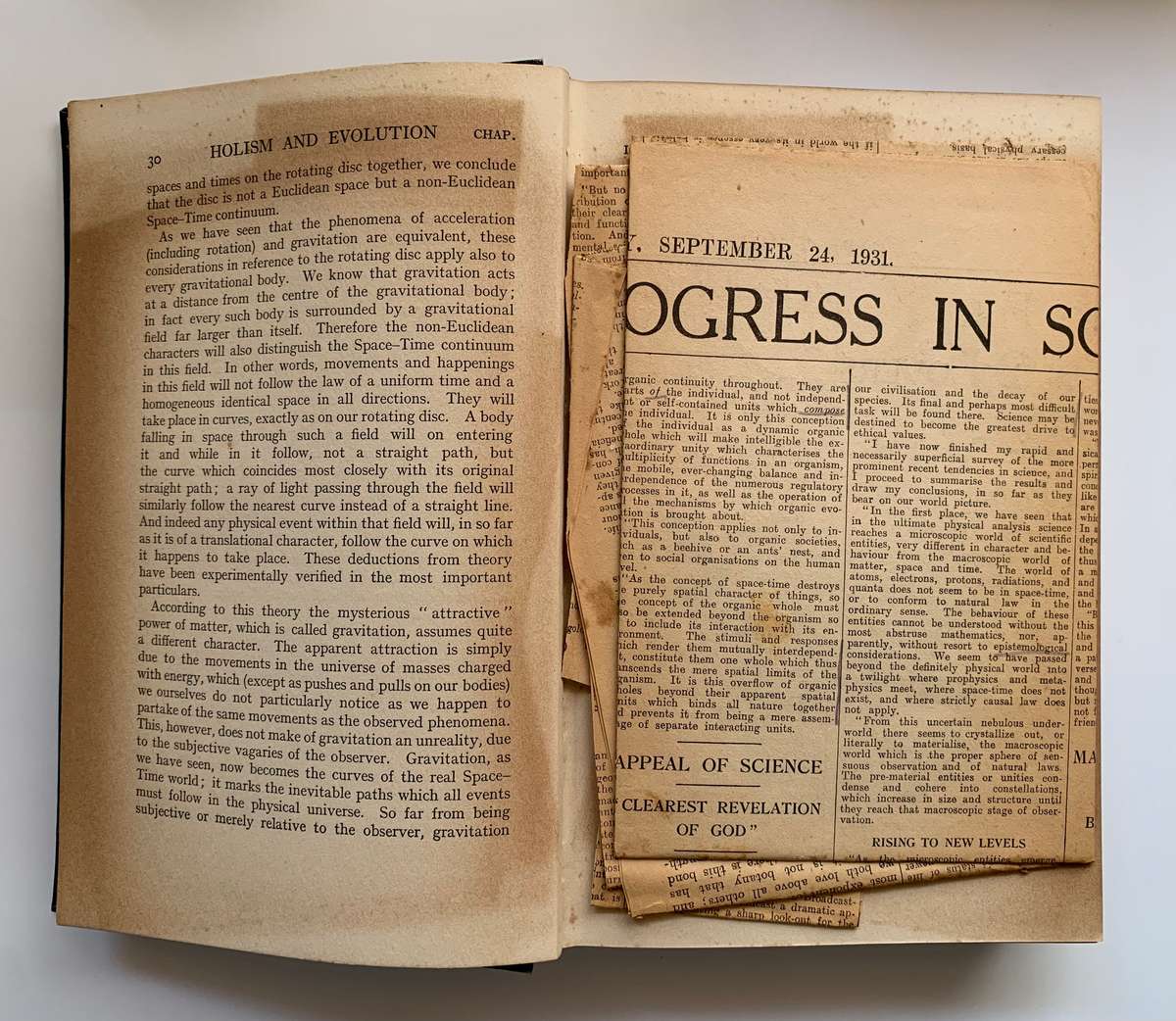 Holism and Evolution