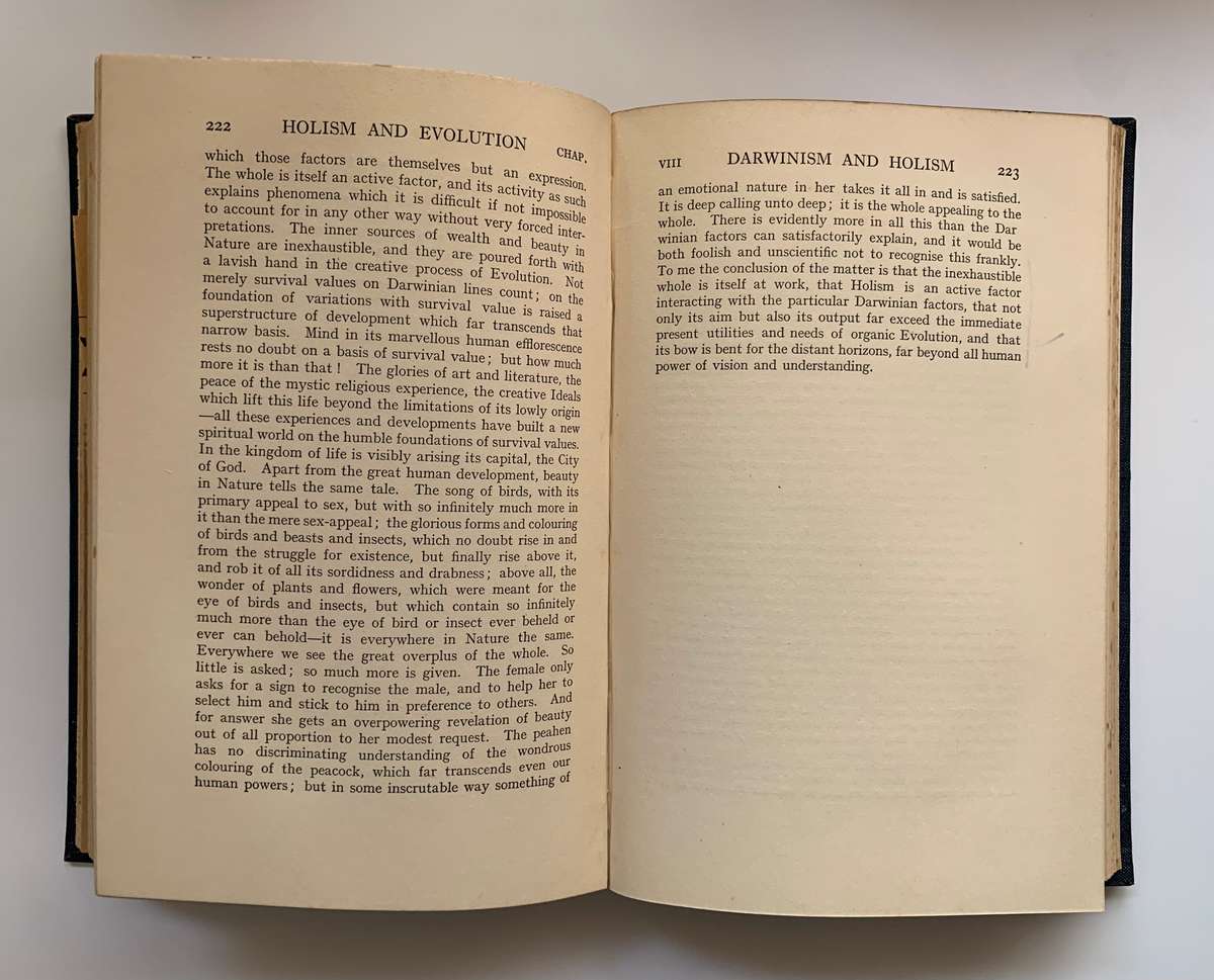 Holism and Evolution