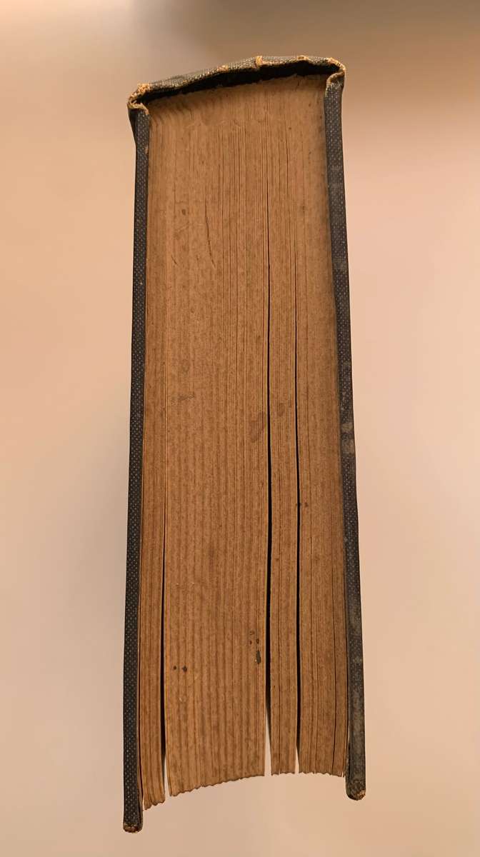 Holism and Evolution