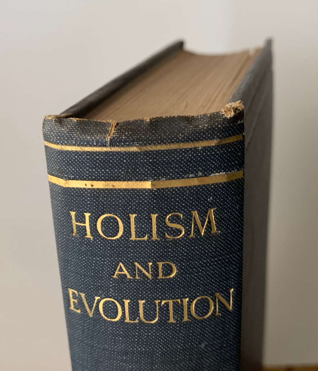 Holism and Evolution