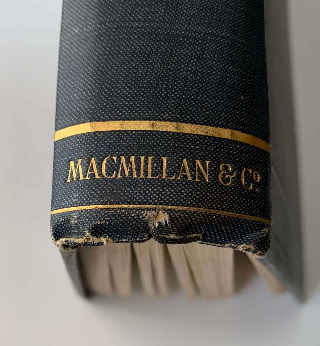 Holism and Evolution